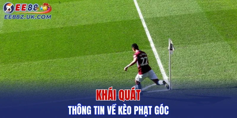 Khái quát thông tin về kèo phạt góc